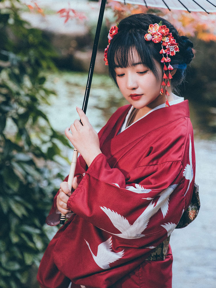 Kimono Formal Japonés para Muj - Women'S Formal Traditional Wear reseña y precio