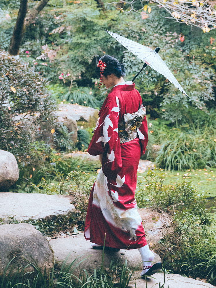 Kimono Formal Japonés para Muj - Women'S Formal Traditional Wear reseña y precio