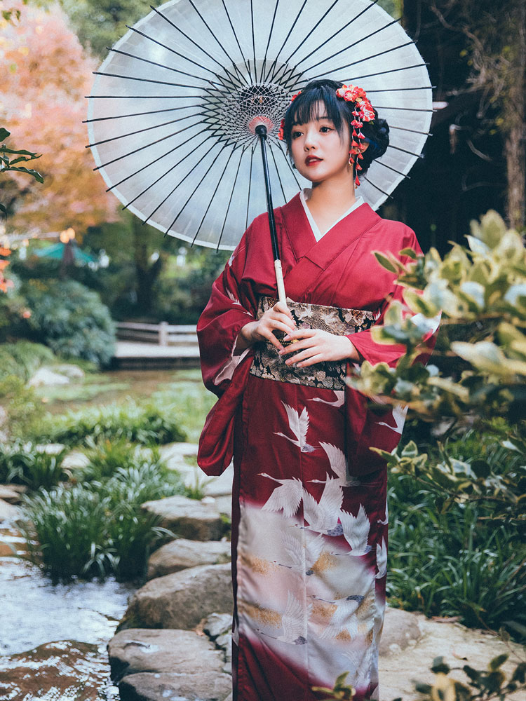 Kimono Formal Japonés para Muj - Women'S Formal Traditional Wear reseña y precio