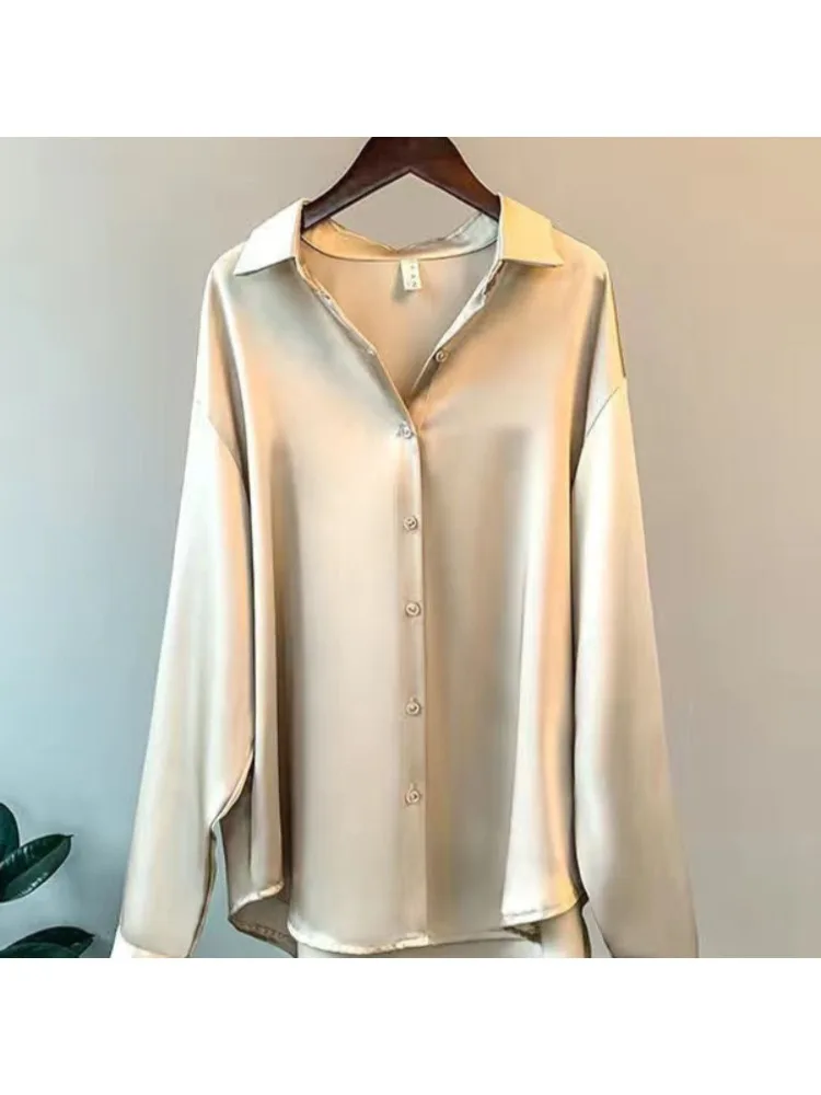 Camisa de seda informal de tal - Women'S Formal Wear Blouse reseña y precio